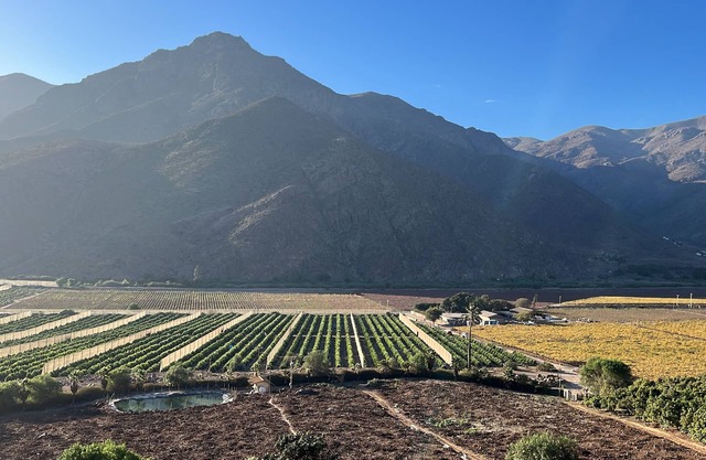 Elqui Valley Avocado Farm, 2-bedroom cabin in fabulous Vicuña with WiFi