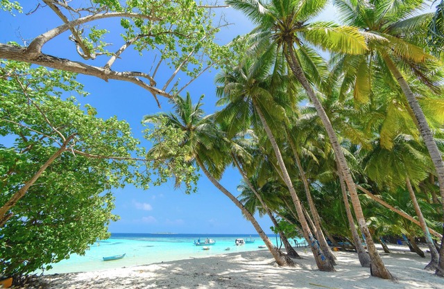 Enjoy dependable value by the beautiful Pacific !