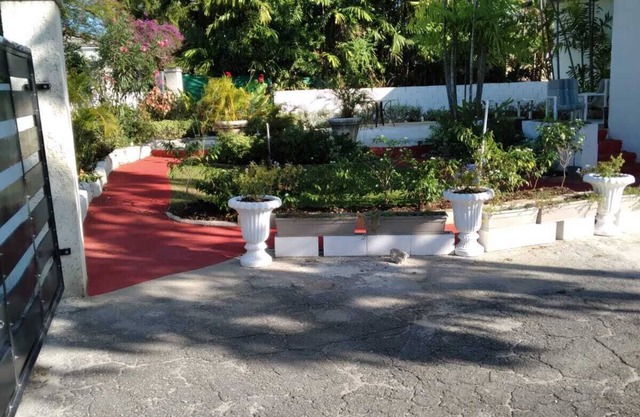 Enjoy Your Stay At Casa Del Caribe: Come Live in Paradise!