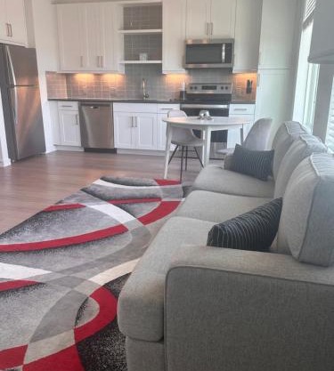 Entire Apartment Downtown Views!