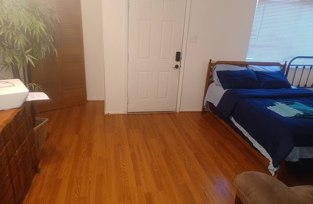 Entire Apartment Suite