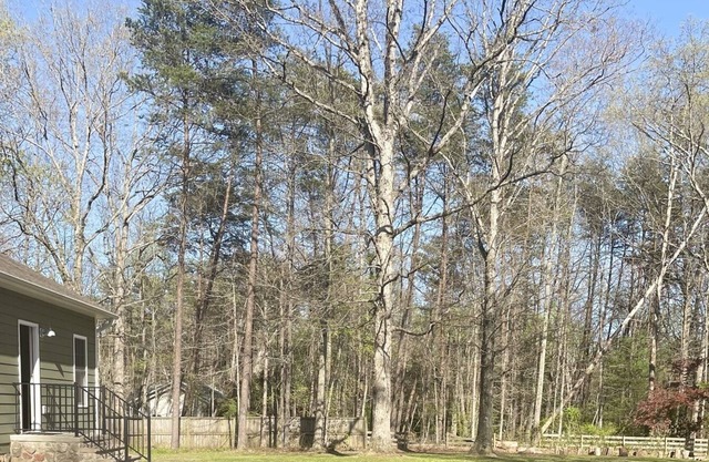 Entire Guest Suite Sleeps 4 Near Historic Lake Anna Private Serene Wilderness