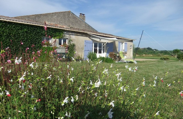 Entre-Deux-Mers (Between the two seas), Bordeaux, Saint-Émilion and Yquem