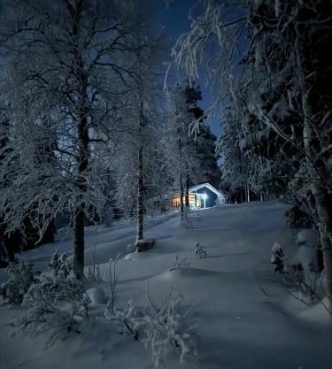 Erämökki Villa - Lumo