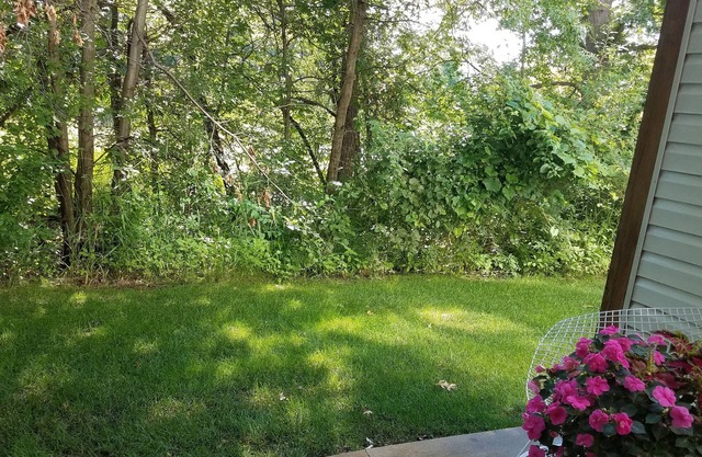Excellent Oakdale location borders Woodbury. Overlooks Woods Pond & Nature