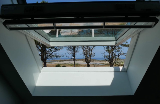 Explorez le Jardin Colonial de L'île de Batz : un Joyau du Nord-finistère, Parfa