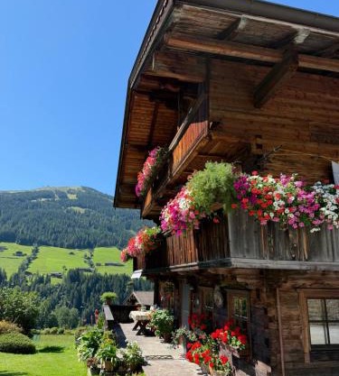 Fürstenhäusl Alpbach - GREEN Apartments & Studio