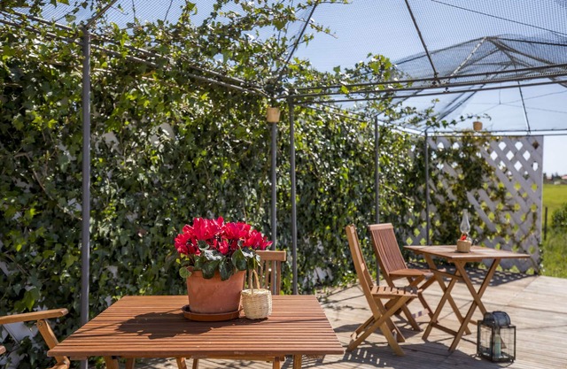 F - Casa Lavoura in Quinta das Alagoas by DreamAlgarve