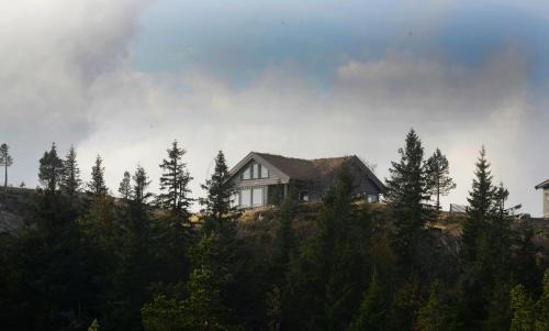 Falkeblikk-Mountain cabin with majestic views