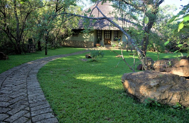 Family Lodge in Natural African Bush - 2113