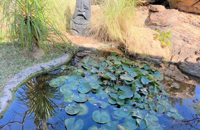 Family Lodge in Natural African Bush - 2115