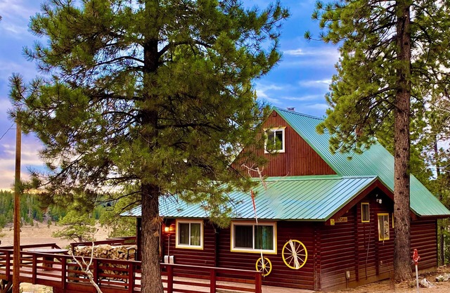 Family & Pet friendly! THAT Cabin with the amazing view!