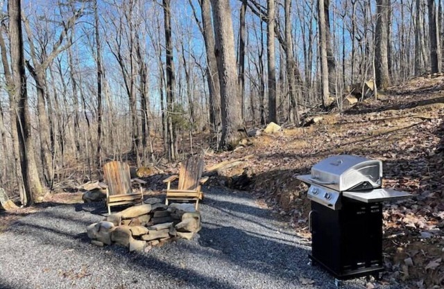 Family & Pet Friendly Treehouse with Amazing Views