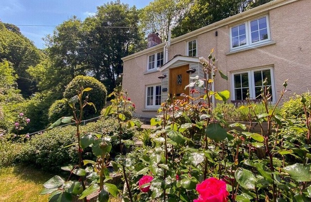 Fantastic, hideaway dog-friendly holiday cottage in Cardigan perched on the hillside in St Dogmaels