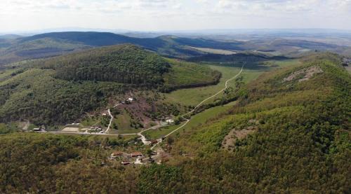 Farkaskútvölgy