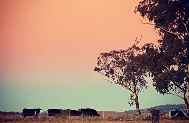 Farm Stay near Bathurst with a Magical View