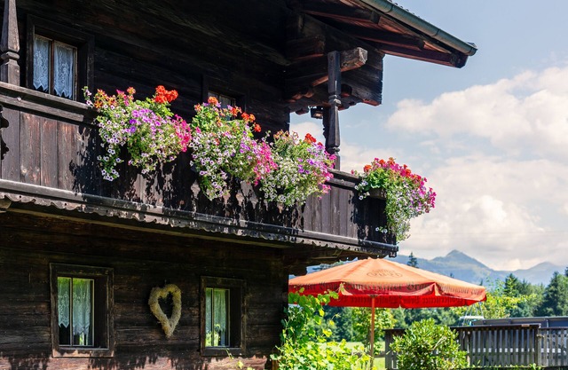 Farmhouse for large groups in a secluded location