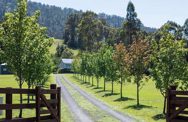 "FERDOUS" - A Peaceful Hideaway in Kangaroo Valley, NSW