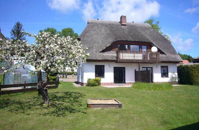 Ferienhaus Möwe