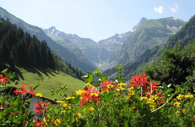 Ferienparadies Spielmannsau
