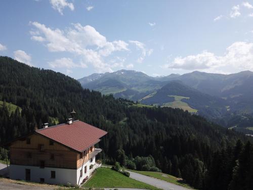 Ferienwohnung in Panorama Alleinlage Kitzbüheler AlpenWILD63 by FeWo-Plan