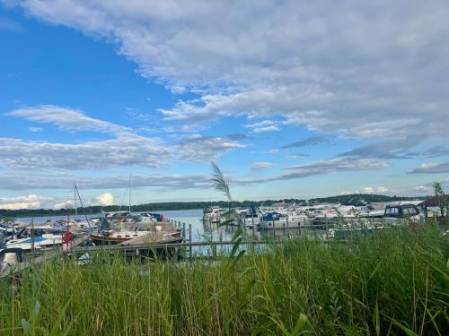 Ferienwohnung Weidenkörbchen am Wasser in Werder Havel