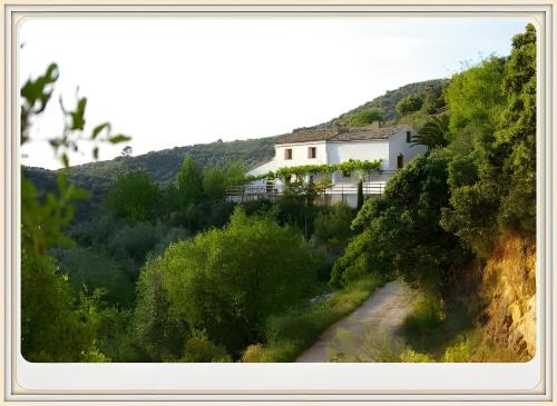 Finca Rústica La Pájara