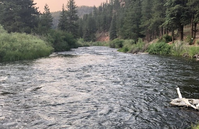 “Fisherman’s Paradise – Cozy Log Cabin Near Gold Medal River, Forest Views”