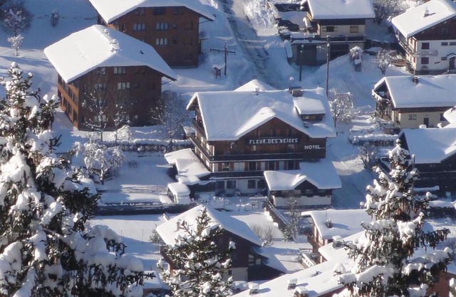 Fleur des Neiges
