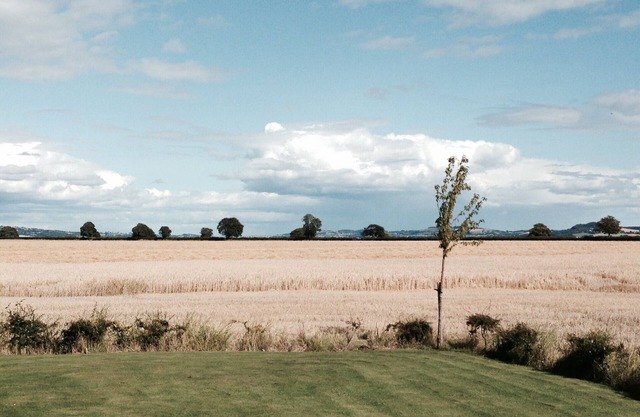 Flisk, Powgavie Cottages (PK13146P)