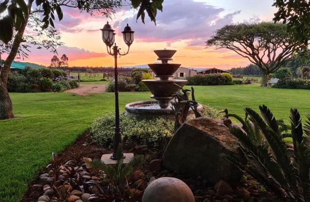 Forest Hill Country Lodge