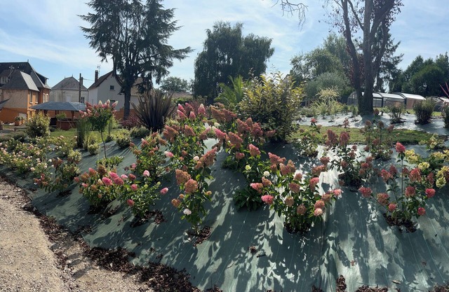 Gîte Au Petit Vivoin
