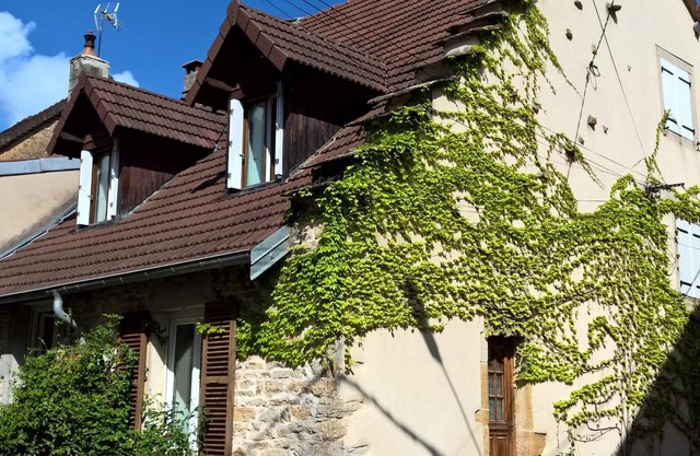 Gîte Le Lynx