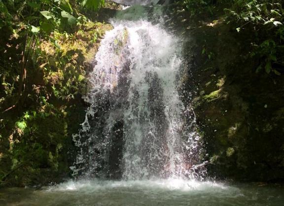 G.nature preserve