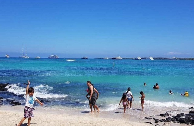 Galapagos Verde Azul