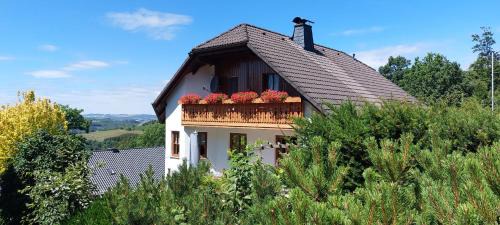 Gemütliche Nichtraucherwohnung Direkt Am Wald