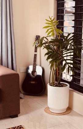 Genesis apartments