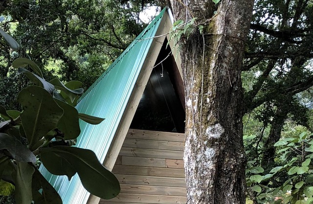 Get away to The Sanctuary in the cloud forest of San Gerardo de Dota