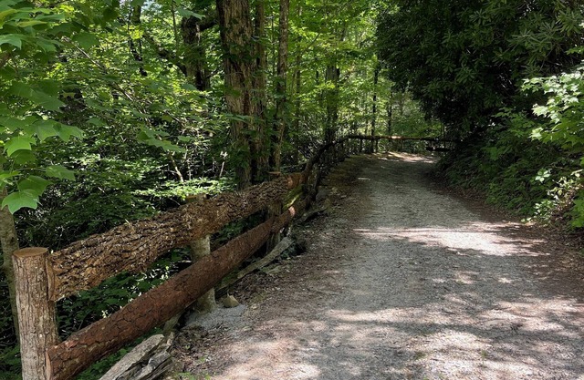 Get in on June Special price at Cabin Fever ! Near Lake Nantahala Wedding Venue