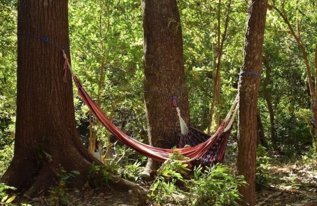 Glamping Rupia Manzu. Live the experience