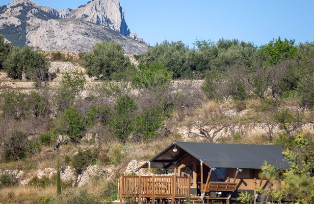 Glamping Tienda de Safari - Alicante