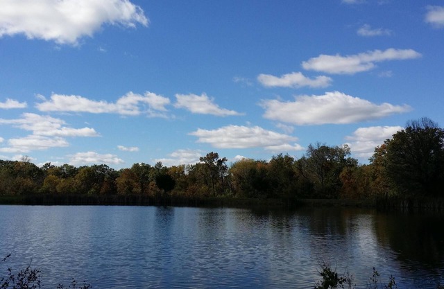 Glenn Acres Farm, Fishing and Relaxing, a Place Everyone Loves!