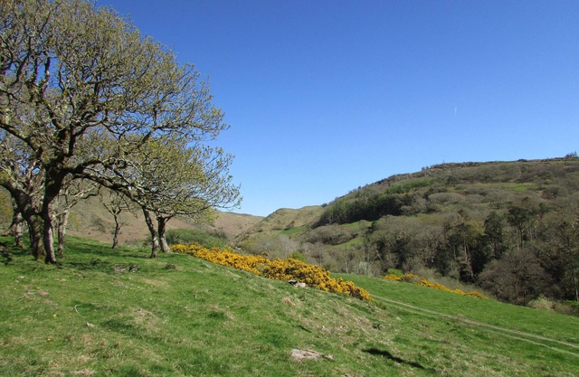 Golygfa'r Cwm