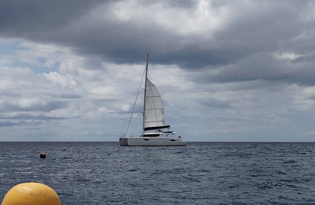 Grand Catamaran AU Mouillage