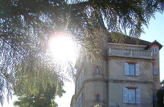 Grand Suite "Louise de Savoie" at the castle (capacity 4)