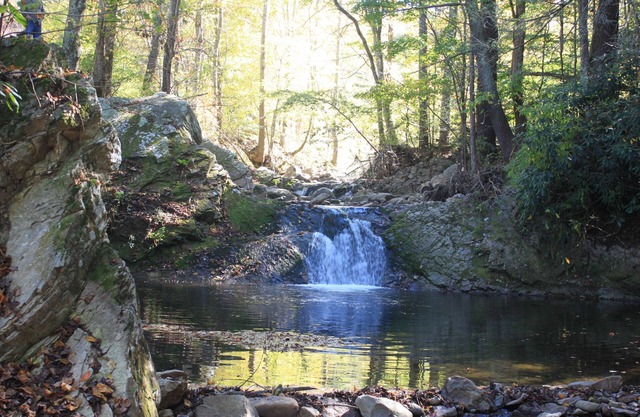 Grandma's House/Family and Pet Friendly/Hot Tub & Fire Pit/Close to Trout Stream