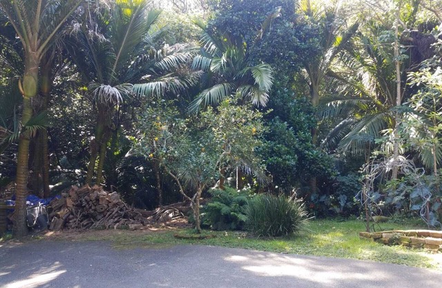 Great Barrier Island Escape-Book a Room or whole House