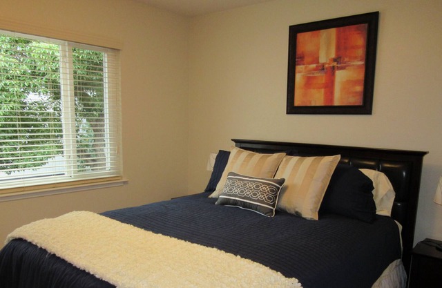 Great Apartment Near Everything!