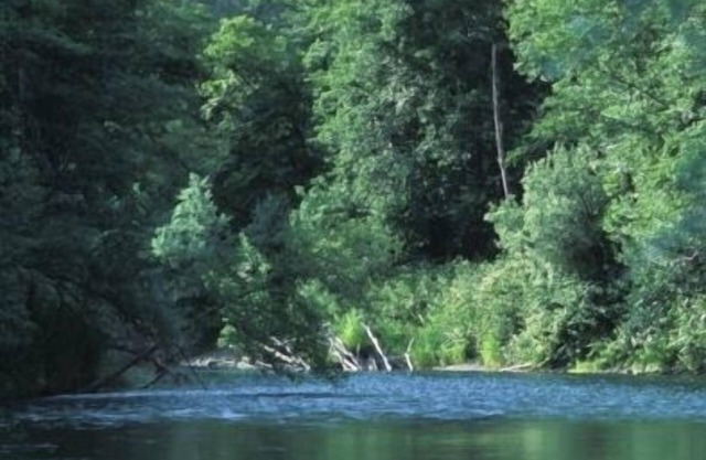 Great Trinity River Fishing at 3 Bed 2 Bath House, pets considered