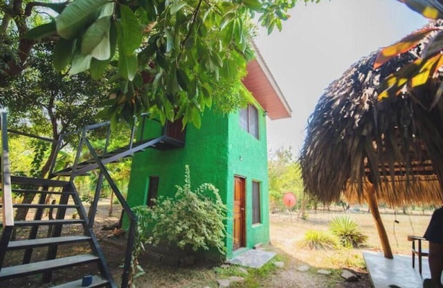 Green House